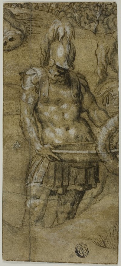  av Paolo Farinati