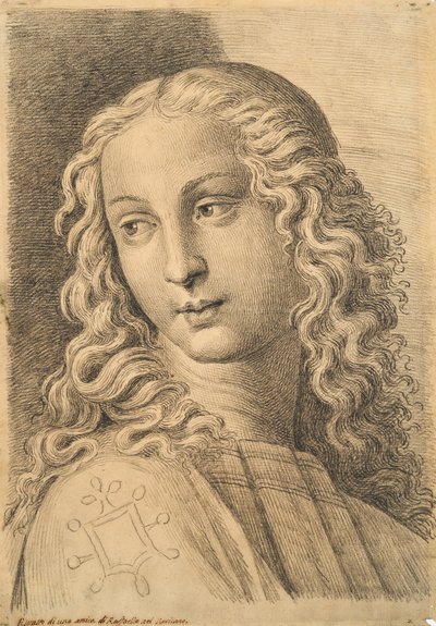 Head of a woman, fra 42 Studies of Heads after Raphael av Paolo Fidanza
