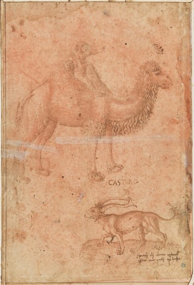En kamel med et ridende barn. Nedenfor et fabeldyr (Castoro) av Paolo Uccello
