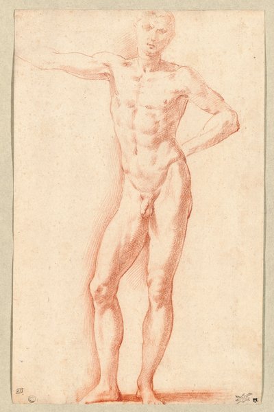 Ein männlicher Akt von Parmigianino (1503-40)