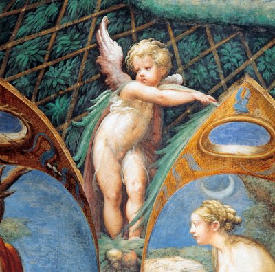 Cherub og Dianas ansikt, fra Myth of Diana and Actaeon, ca av Parmigianino