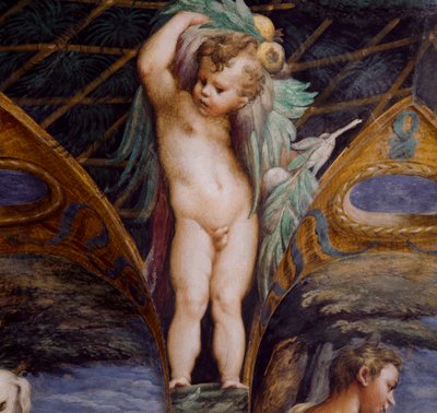 Cherub, detalj fra Myth of Diana and Actaeon, ca av Parmigianino