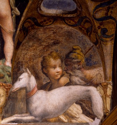 Hund og jeger, fra Myth of Diana and Actaeon av Parmigianino