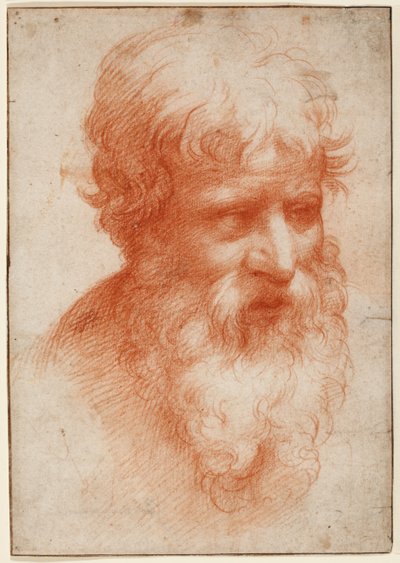 Hodet til en skjegget mann, ser til høyre, ca. 1523-25 (rødt kritt på papir) av Parmigianino (1503 40)