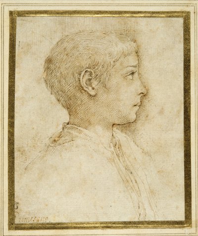 Byste av en gutt i profil til høyre (penn og brunt blekk på hvitt papir) av Parmigianino
