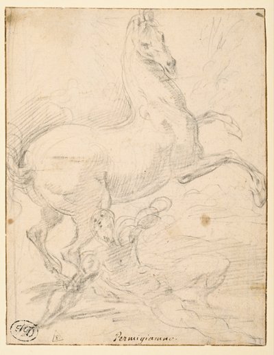 Konvertering av Saint Paul (recto) av Parmigianino