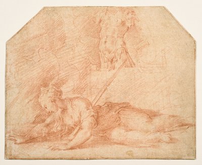 Didos død av Parmigianino