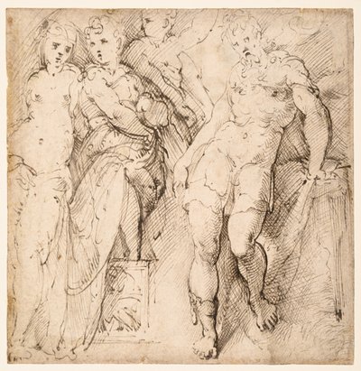 Fire figurstudier (rekto) av Parmigianino