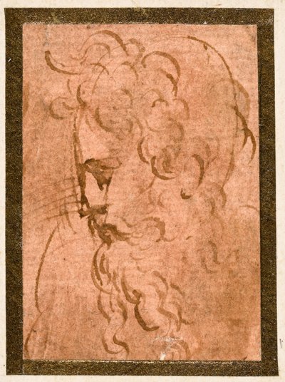 Mannlig hode av Parmigianino