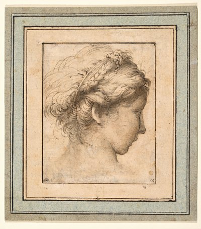 Profilhode til en jente som ser til høyre av Parmigianino