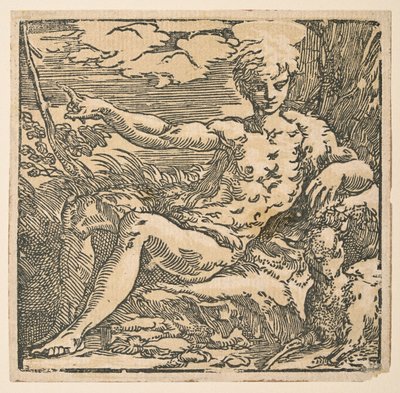 Døperen Johannes i villmarken av Parmigianino