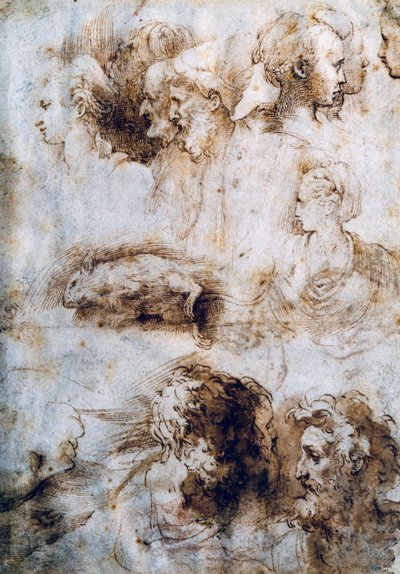 Studie for en død mus, mannlige og kvinnelige profiler av Parmigianino