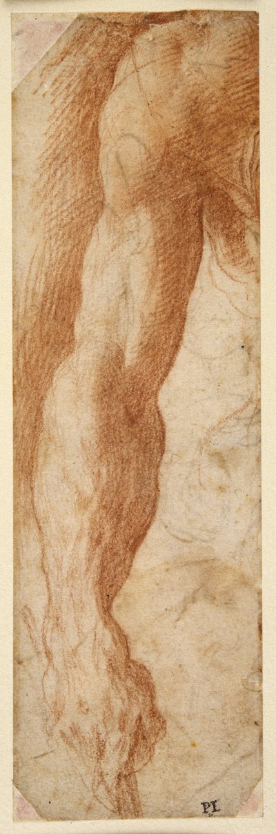 Studie av en manns høyre arm, hånden hans holder en pinne (rødt kritt på hvitt papir) av Parmigianino