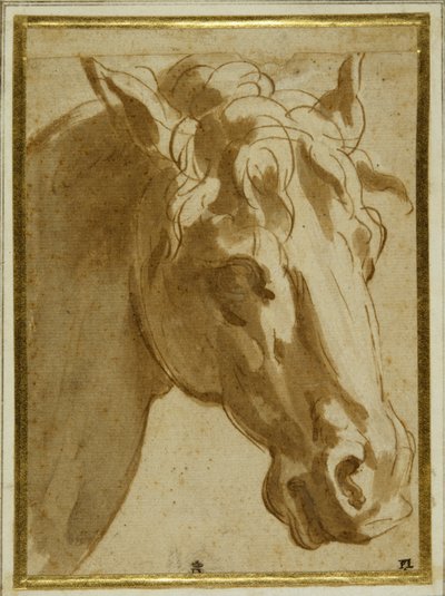 Hodet og halsen til en hest (penn og brunt blekk med vask på krempapir) av Parmigianino