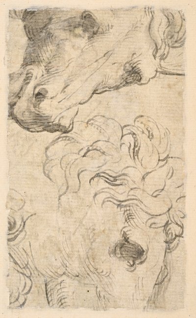 To studier av hestehoder (fragment) (verso) av Parmigianino