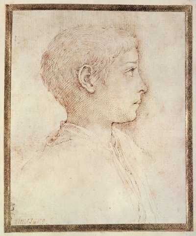 Hodet til en gutt av Parmigianino