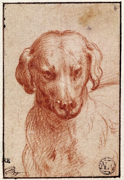 Hodet til en hund (rødt kritt på papir) av Parmigianino