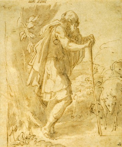 Gammel gjeter som lener seg på en stav av Parmigianino