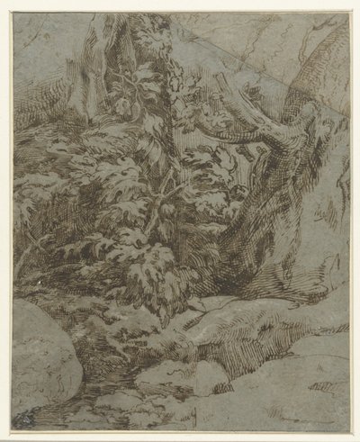 Studie av et landskap av Parmigianino