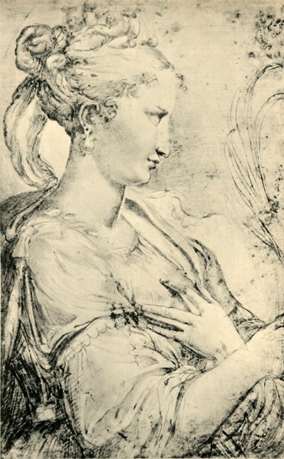 Studie av Saint Catherine, c1530-1540, 1943. av Parmigianino