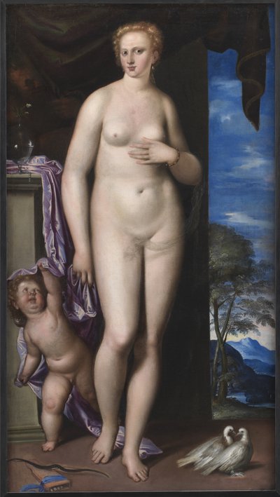 Venus og Amor av Parrasio Micheli