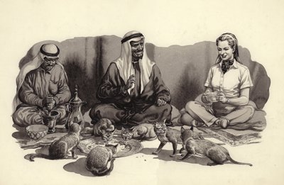 Ein arabischer Mann füttert seine Katzen von Pat (1907-95) Nicolle