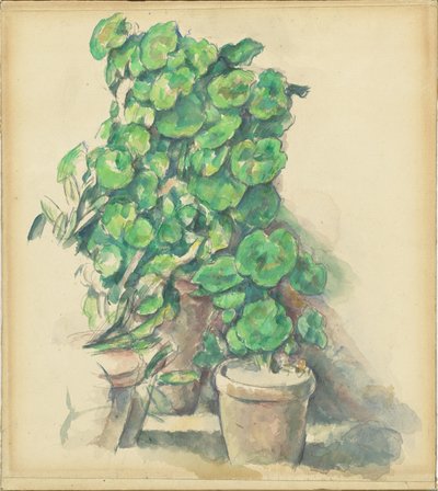 Pelargonier av Paul Cézanne