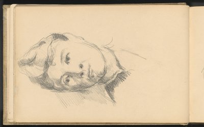 Madame Cezanne av Paul Cézanne