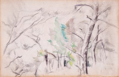 Trær [recto]; Encagnane med Pilon du Roi [tilbake] av Paul Cézanne