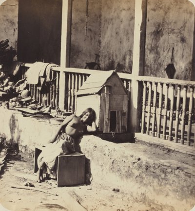 Garvels hund (Martinique) av Paul Emile Miot