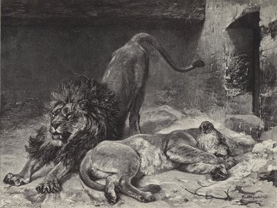 Løvens oppvåkning av Paul Friedrich Meyerheim