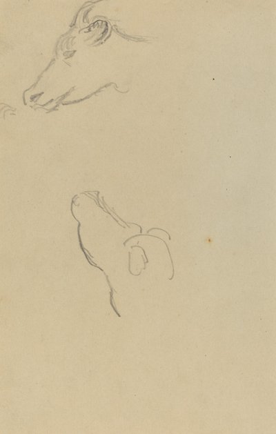 Head of a Cow [recto] av Paul Gauguin
