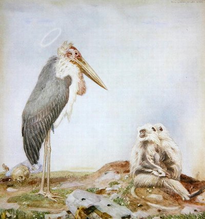 Holy Marabou (akvarell og blyant på papir) av Paul Grabwinkler