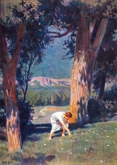 Stjernepengene av Paul Hey