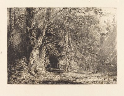 Flom i skogen til Ile Séguin av Paul Huet