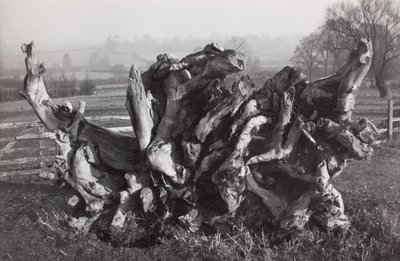  av Paul Nash