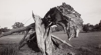  av Paul Nash