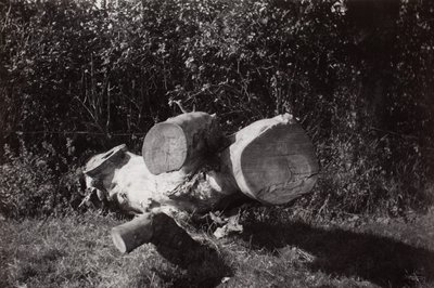 av Paul Nash