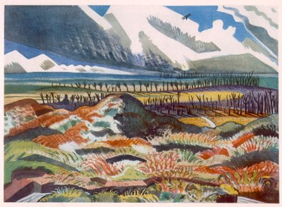 Ruined Country, Vimy, fra British Artists at the Front, Fortsettelse av The Western Front, del tre, Paul Nash av Paul Nash