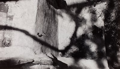  av Paul Nash