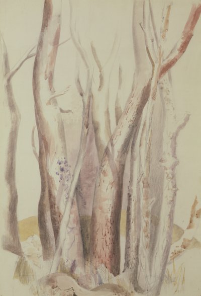 Studie av et skogslandskap av Paul Nash