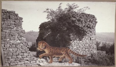 Tiger, Tiger, ca. 1938 (collage) av Paul Nash
