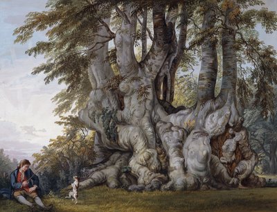 En gutt som lager en hund til å danse ved kulen til et gammelt knudret bøketre, av Paul Sandby