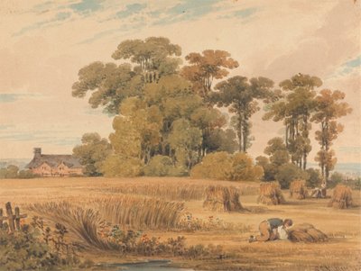 En kornåker av Paul Sandby Munn