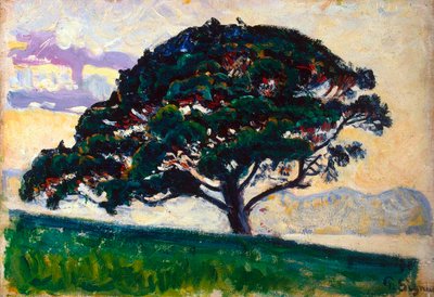 Stor furu, Saint-Tropez, 1892-1893. av Paul Signac