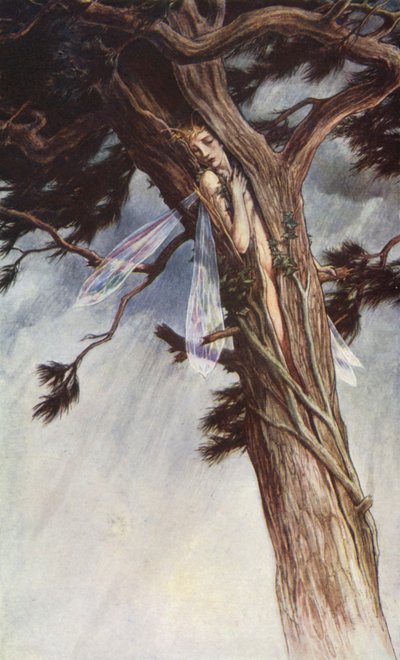 The Tempest av William Shakespeare, Act I, Scene 2 (farge litho) av Paul Vincent Woodroffe