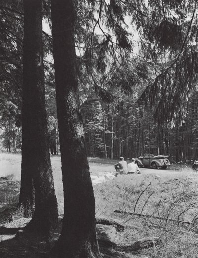 En hvil i en skog, Bayern (s/h-bilde) av Paul Wolff