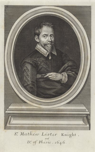 Sir Matthew Lister av Paul van Somer