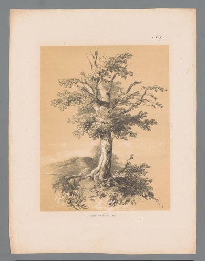 Bom Pittoreske ansikter av Paulus Lauters (serietittel) Etrennes pittoresques pour 1839, av Lauters (serietittel) av Paulus Lauters