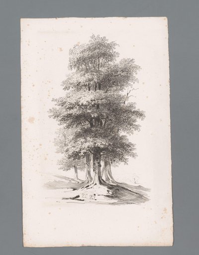 Gruppe med fem trær Prinsipper for landskap (serietittel) Principles de paysages (serietittel) av Paulus Lauters